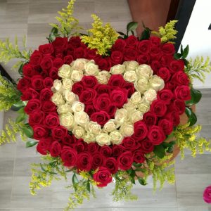 Corazón por 100 rosas