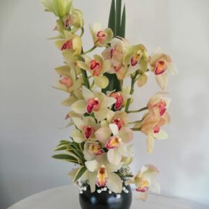 Arreglo en Orquideas