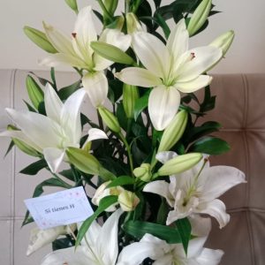 Arreglos florales cajica, floristeria cajica, flores a domicilio cajica, flores para cumpleaños cajica, flores para grados cajica, flores para aniversario cajica