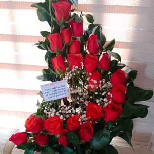 Medialuna sencilla en rosas