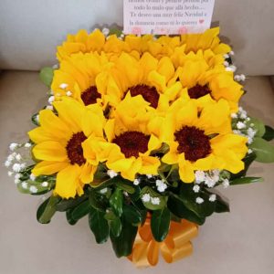 Caja por 9 minigirasoles